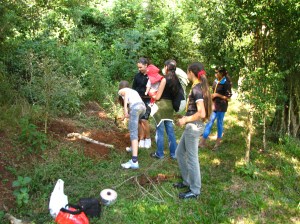 unidade sigma fogueira unidade sigma fogueira