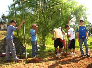 omega portal omega portal