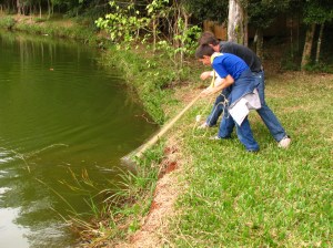 encenação delta encenação delta